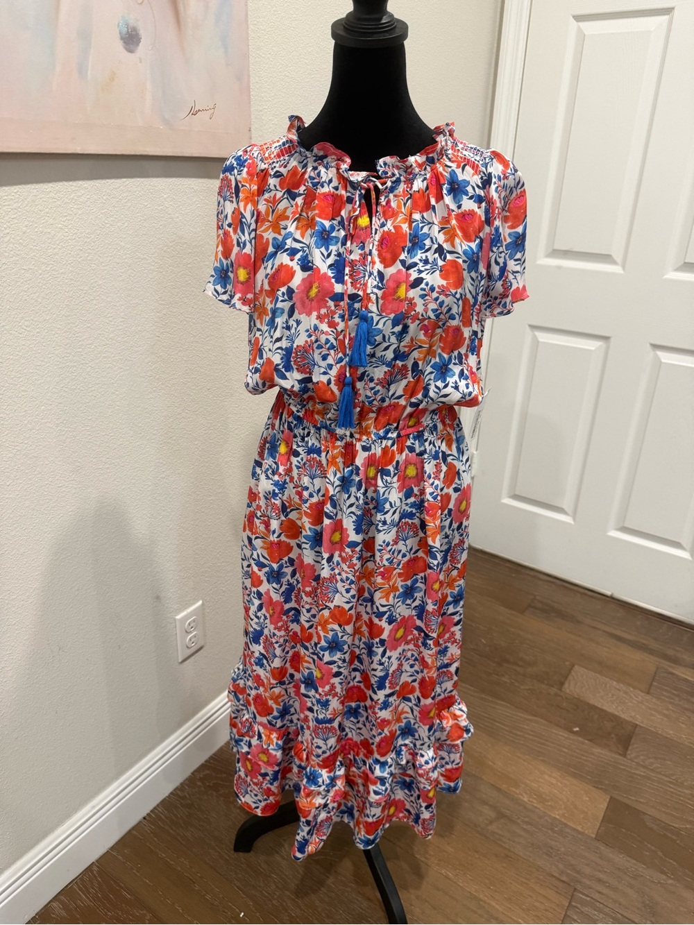 Karyn Seo Floral Midi Dress with Blue Tassel Tie - White/Red/Blue Elastic Waist